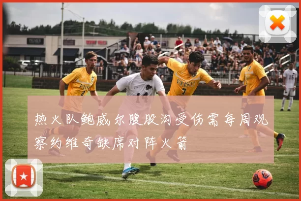热火队鲍威尔腹股沟受伤需每周观察约维奇缺席对阵火箭